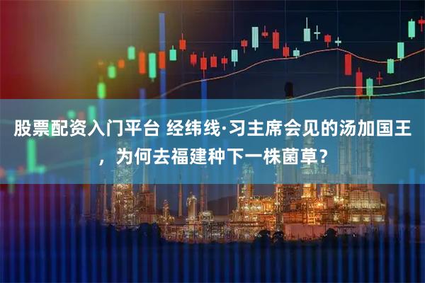 股票配资入门平台 经纬线·习主席会见的汤加国王，为何去福建种下一株菌草？